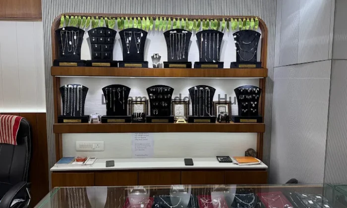 Vajubhai Jewellers Pijwala  Jewellery store in Vadodara